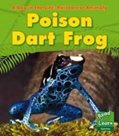 Rainforest Animals: Poison Dart Frog