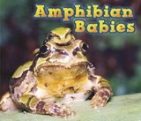 Amphibian Babies - Catherine Veitch - 9781406259292