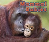 Mammal Babies - VEITCH,  Catherine - 9781406259322