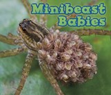 Minibeast Babies - VEITCH,  Catherine - 9781406259339