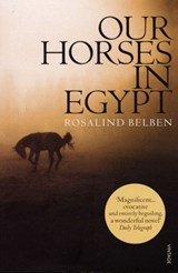 Our Horses in Egypt - Rosalind Belben - 9781407074450