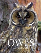 Owls - Marianne Taylor - 9781408155530