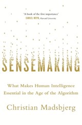 Sensemaking - Christian Madsbjerg - 9781408708385