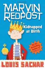 Kidnapped at Birth - Louis Sachar - 9781408801703