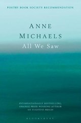 All we saw - anne michaels - 9781408880890