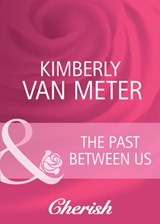 The Past Between Us (Mama Jo's Boys, Book 1) (Mills & Boon Cherish) - Kimberly Van Meter - 9781408944721