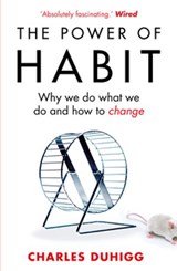 The Power of Habit - Charles Duhigg - 9781409038696