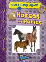 Horses and Ponies - MASON,  Paul - 9781410949370