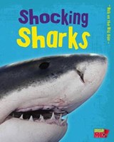 Shocking Sharks - GUILLAIN,  Charlotte - 9781410952240