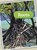 Roots, WALDRON,  Melanie - Paperback - 9781410962812