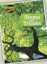 Stems and Trunks - WALDRON,  Melanie - 9781410962836