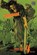 Vagabond (VIZBIG Edition), Vol. 4, Takehiko Inoue - Paperback - 9781421522463