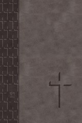 Tpt New Testament (2020 Edition) Large Print Grey - Brian Dr Simmons - 9781424562565