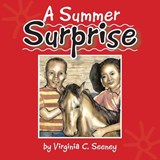 A Summer Surprise - Virginia C Seeney - 9781425726577