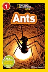 Ants - STEWART,  Melissa - 9781426306099