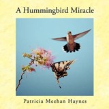 A Hummingbird Miracle - Patricia Meehan Haynes - 9781426928079