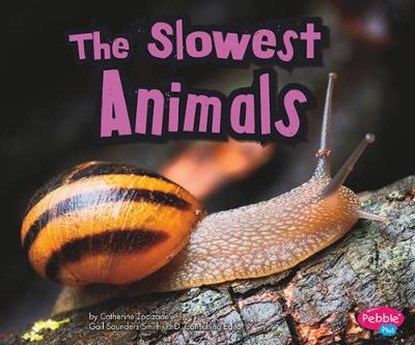 The Slowest Animals, IPCIZADE,  Catherine - Gebonden - 9781429653107