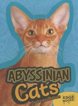 Abyssinian Cats - MATTERN,  Joanne - 9781429668651