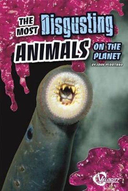 The Most Disgusting Animals on the Planet, PERRITANO,  John - Gebonden - 9781429675352