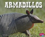 Armadillos - POTTS,  Steve - 9781429679213