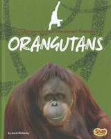 Orangutans - RIEHECKY,  Janet - 9781429685870