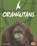 Orangutans, RIEHECKY,  Janet - Gebonden - 9781429685870