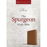 KJV Spurgeon Study Bible, Tan Leathertouch - Alistair Begg - 9781430082651