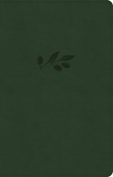 NASB Large Print Thinline Bible, Olive Leathertouch - Holman Bible Publishers - 9781430086048