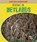 Hiding in Wetlands, UNDERWOOD,  Deborah - Paperback - 9781432940348