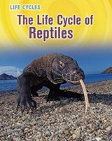 The Life Cycle of Reptiles -  - 9781432949822