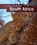 South Africa, THROP,  Claire - Paperback - 9781432961381