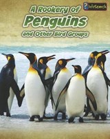 A Rookery of Penguins - HUNT,  Jilly - 9781432964917