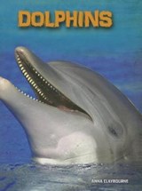 Dolphins -  - 9781432970611