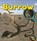 Look Inside a Burrow, SPILSBURY,  Richard - Paperback - 9781432972004