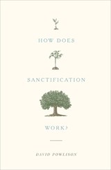 How Does Sanctification Work? - David Powlison - 9781433556104