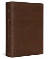 ESV Chronological Bible - Andrew E. Steinmann - 9781433589515