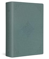 ESV Chronological Bible - Andrew E. Steinmann - 9781433595776