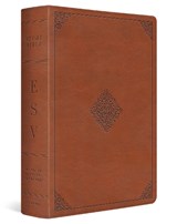 ESV Study Bible - T. Desmond Alexander - 9781433595790