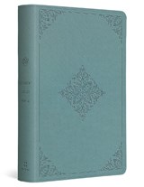 ESV Student Study Bible - T. Desmond Alexander - 9781433598265