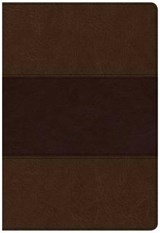The Holy Bible -  - 9781433651625