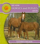 See How Horses and Ponies Grow