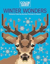 Color Quest: Winter Wonders: Extreme Color-By-Number Pictures to Reveal - Daniela Geremia - 9781438089515