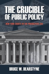 The Crucible of Public Policy - Bruce W. Dearstyne - 9781438488585