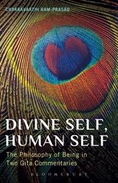Divine Self, Human Self