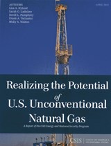 Realizing the Potential of U.S. Unconventional Natural Gas - Sarah O. Ladislaw ; Lisa A. Hyland ; David L. Pumphrey - 9781442224711