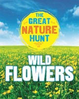 The Great Nature Hunt: Wild Flowers - Jen Green - 9781445145365