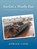 Go Get a Woolly Hat, LADD,  Adrian - Paperback - 9781449016425