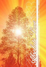 Absolute Love - R. I. Willroth - 9781449718404