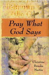 Pray What God Says - Christine Brooks Martin - 9781452434117