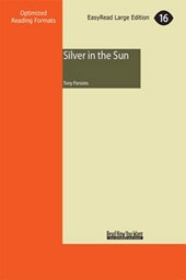 Silver in the Sun